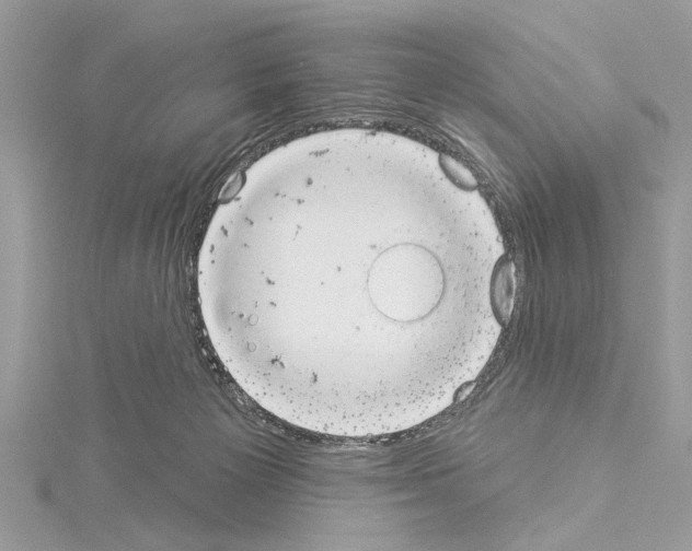 X0000114490125200911301114