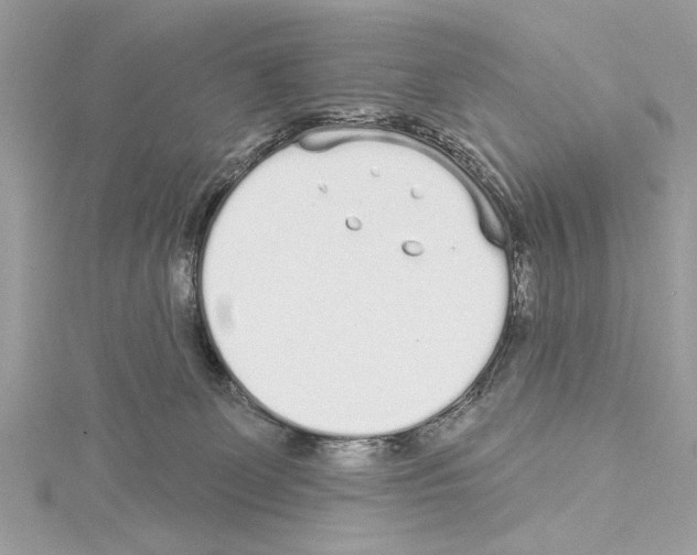 X0000114490131200911301114