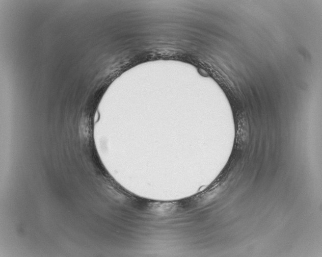 X0000114490135200911301114