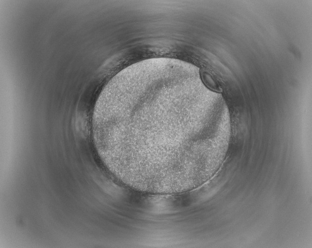 X0000114490136200911301114