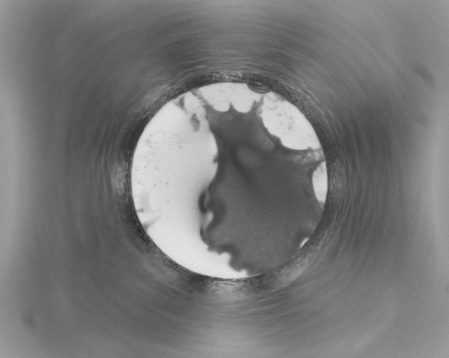 X0000114490139200911301114