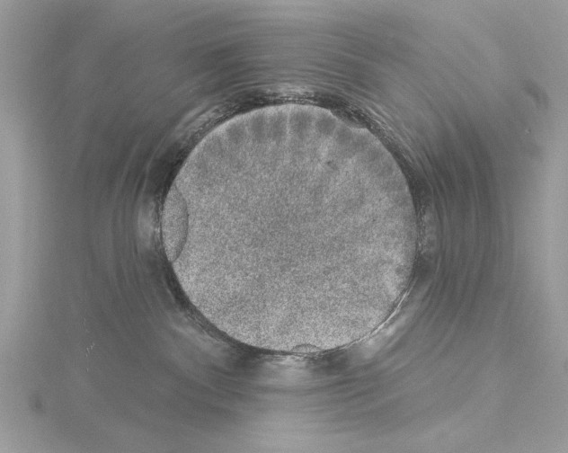 X0000114490140200911301114