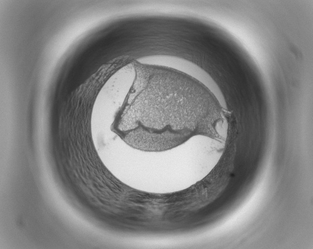 X0000114490143200911301114