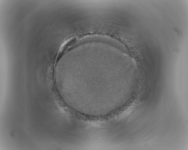 X0000114490144200911301114