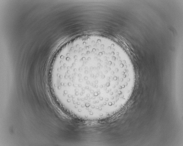 X0000114490145200911301113