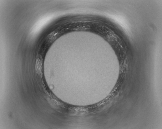 X0000114490146200911301113