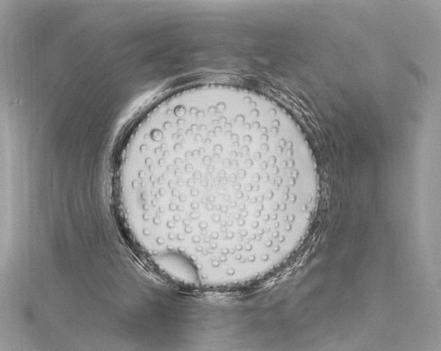 X0000114490149200911301113