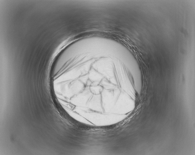 X0000114490150200911301113