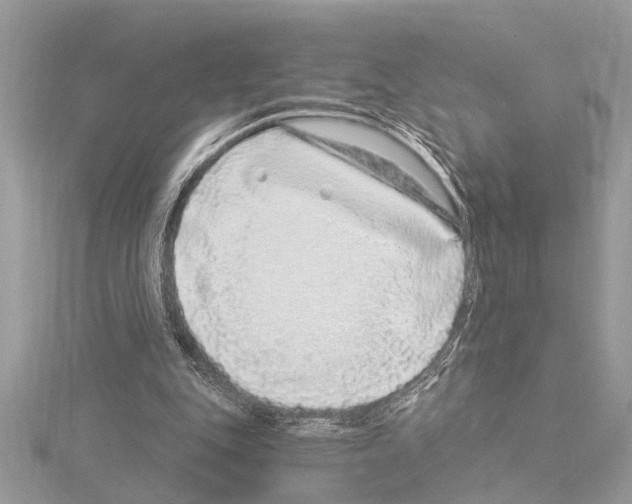 X0000114490151200911301113