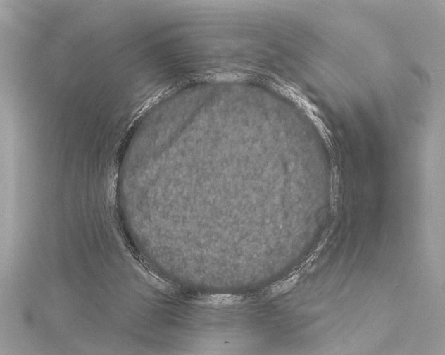 X0000114490153200911301113