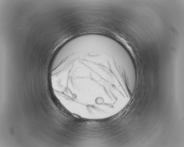 X0000114490154200911301113