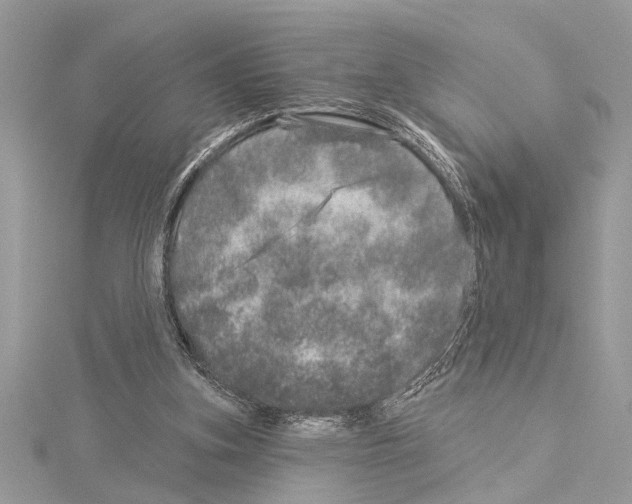 X0000114490155200911301113