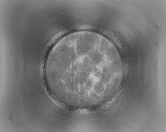 X0000114490159200911301113