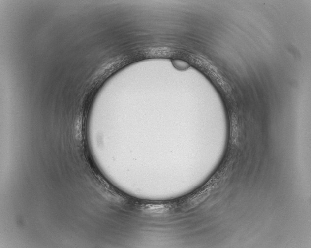 X0000114490161200911301113