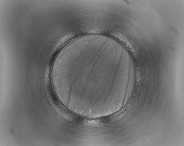 X0000114490163200911301113