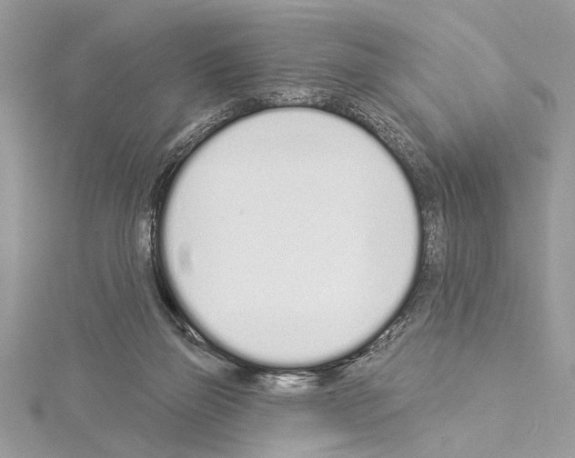 X0000114490165200911301113