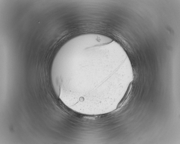 X0000114490170200911301113