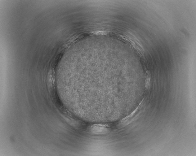 X0000114490179200911301114