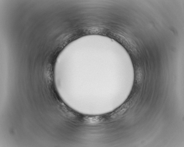 X0000114490181200911301114