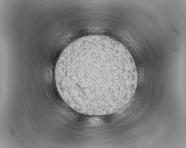 X0000114490183200911301114