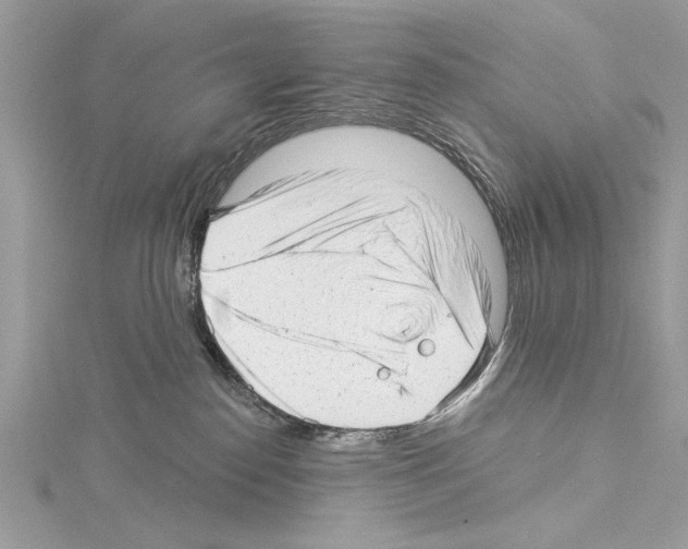 X0000114490186200911301114