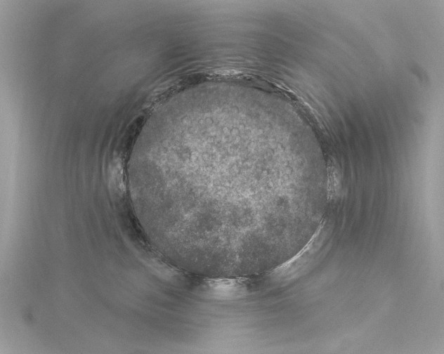 X0000114490187200911301114