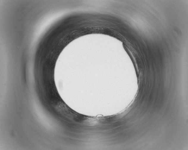 X0000114490190200911301114