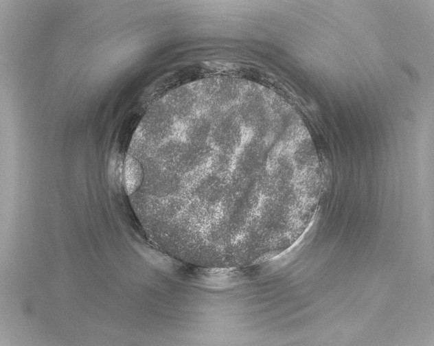 X0000114490191200911301114