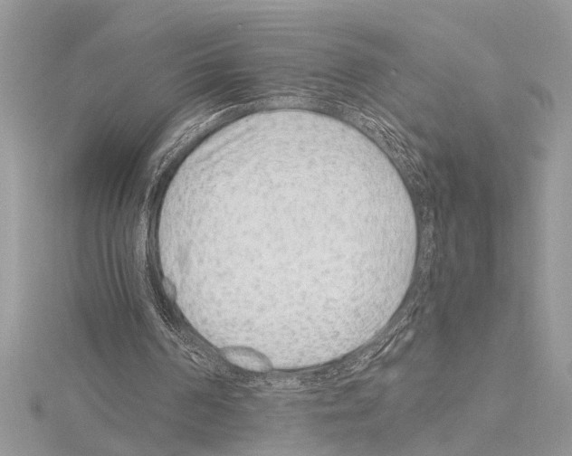 X0000114490194200911301113