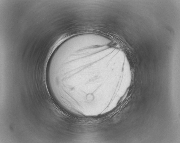 X0000114490195200911301113