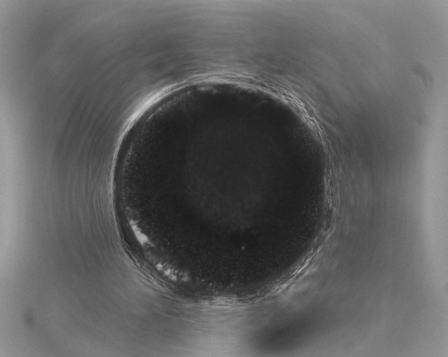 X0000114490196200911301113