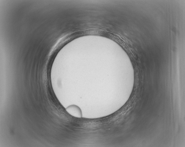 X0000114490198200911301113