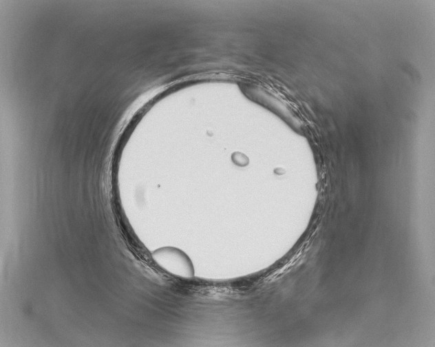 X0000114490200200911301113