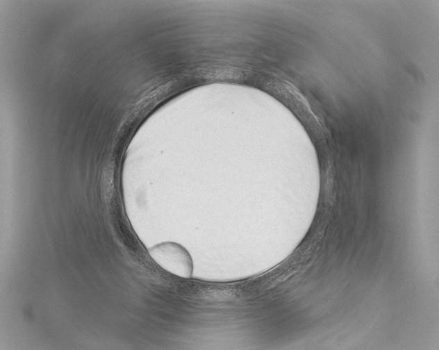 X0000114490202200911301113