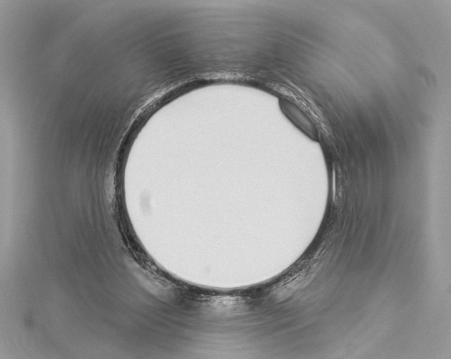 X0000114490204200911301113