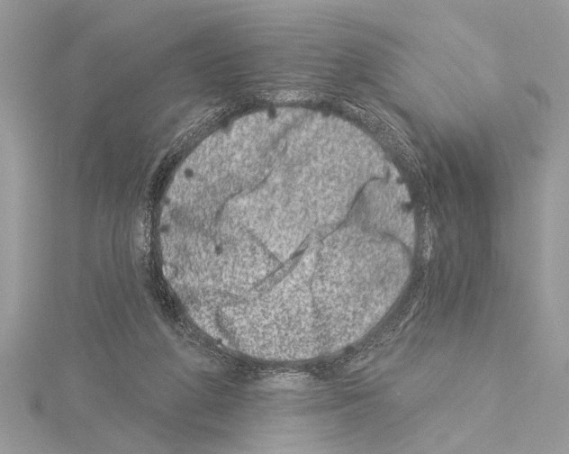 X0000114490210200911301113