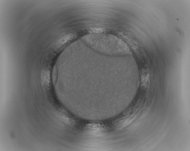 X0000114490211200911301113