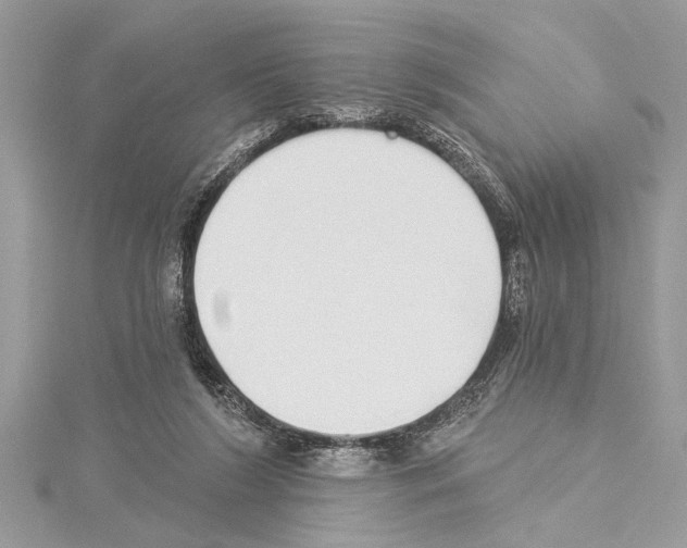 X0000114490212200911301113