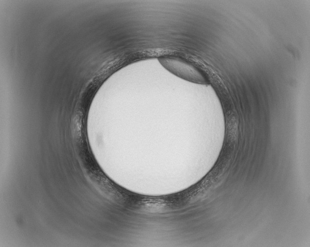 X0000114490214200911301113