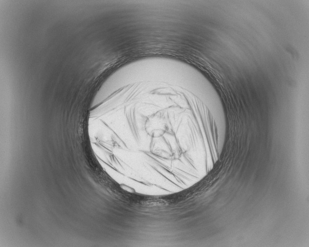 X0000114490215200911301113