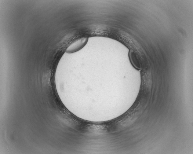 X0000114490217200911301113