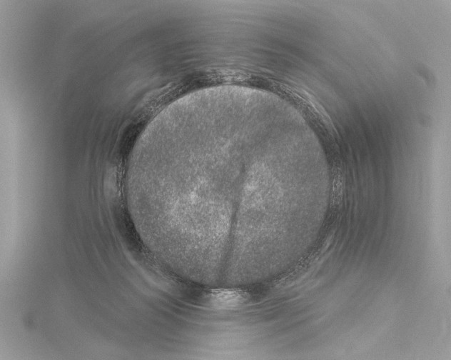 X0000114490218200911301113