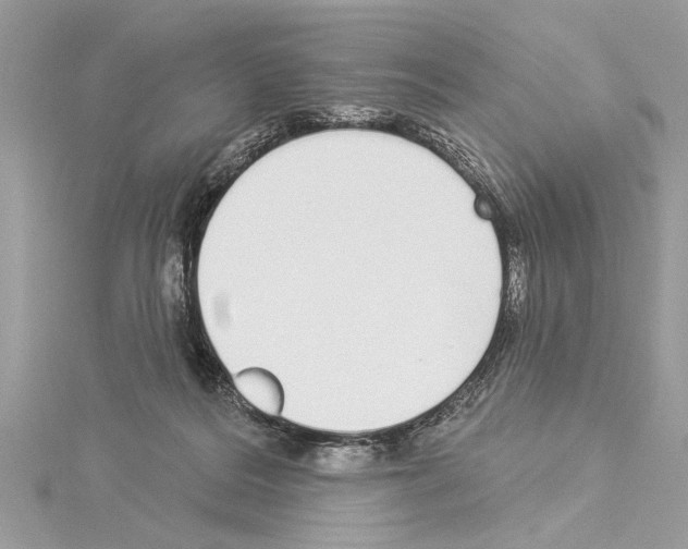 X0000114490220200911301113