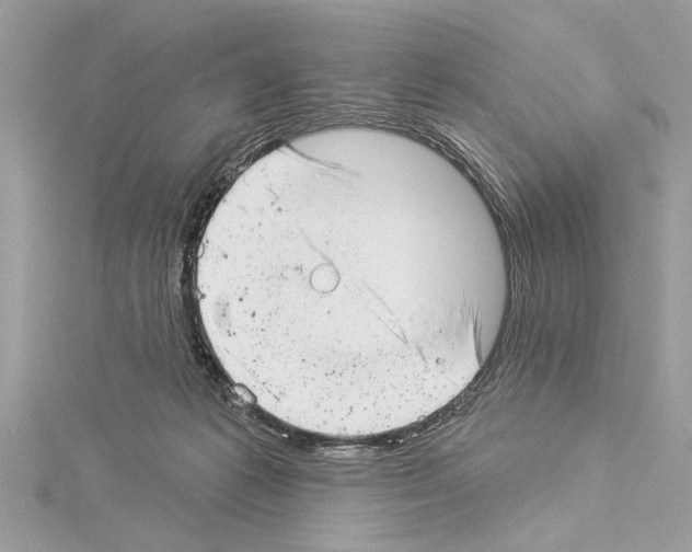 X0000114490221200911301113