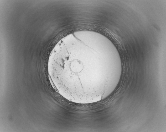 X0000114490225200911301113