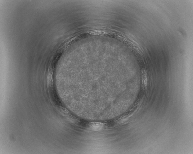 X0000114490226200911301113