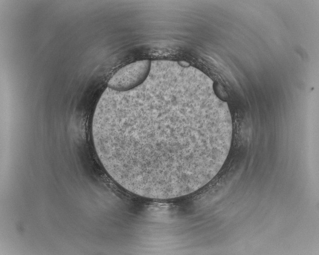 X0000114490227200911301113