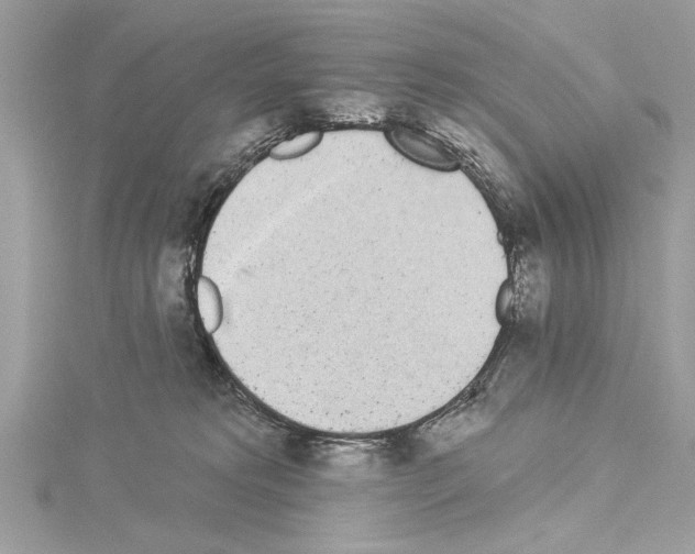 X0000114490229200911301113