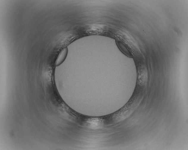 X0000114490231200911301113