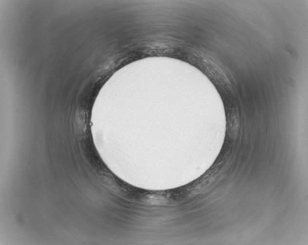 X0000114490232200911301113